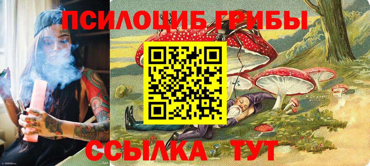 Псилоцибиновые грибы Psilocybe Пушкино