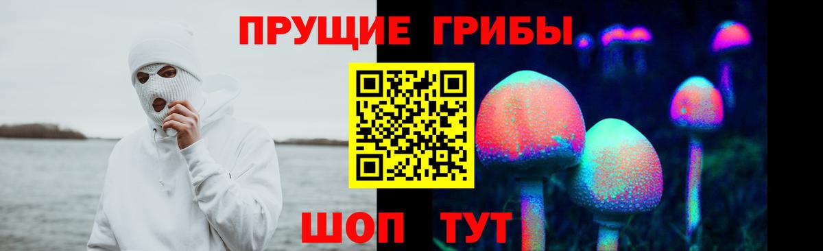 где продают   Псилоцибиновые грибы MAGIC MUSHROOMS  Вход с VPN  Пушкино 